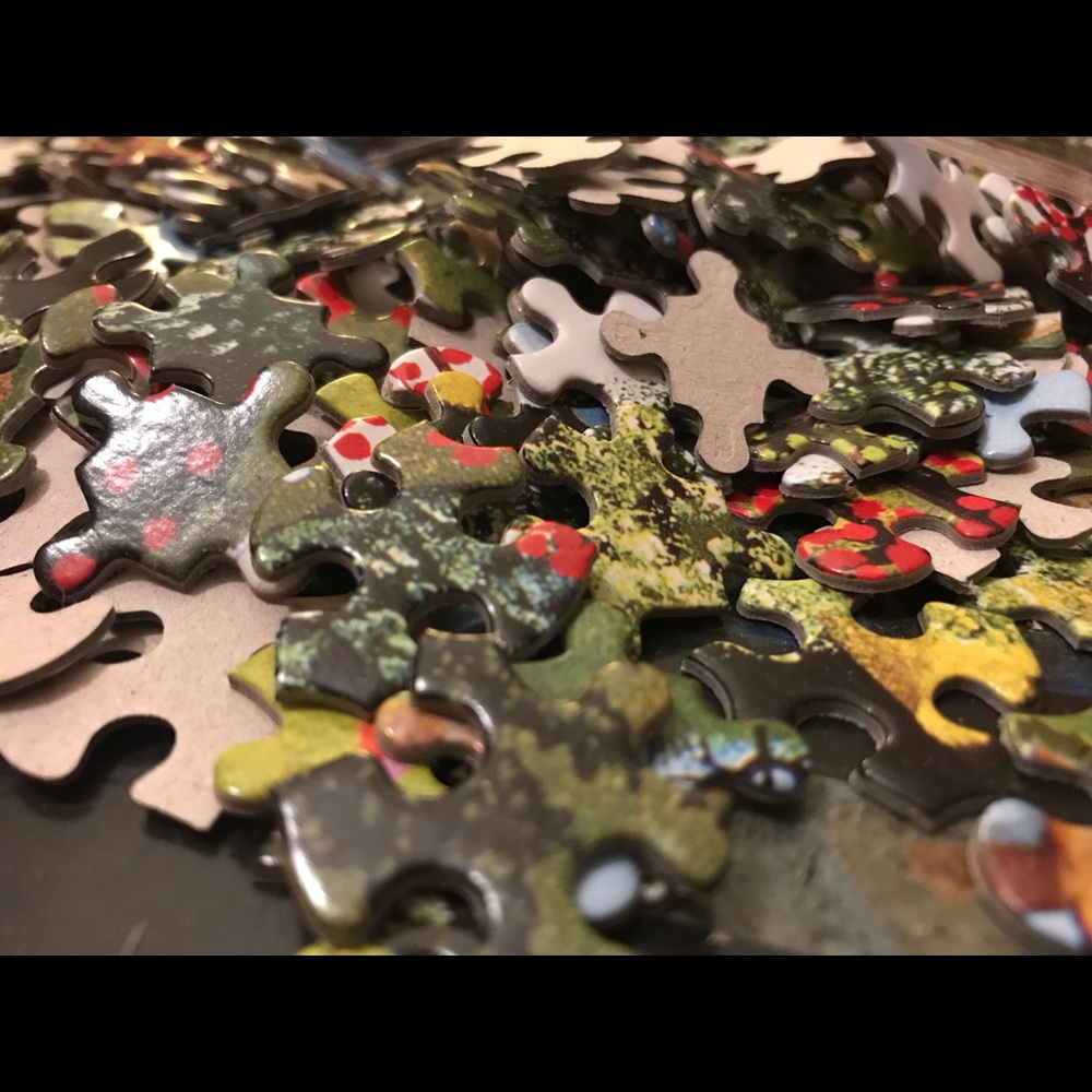 Meet your Posher, Cindy